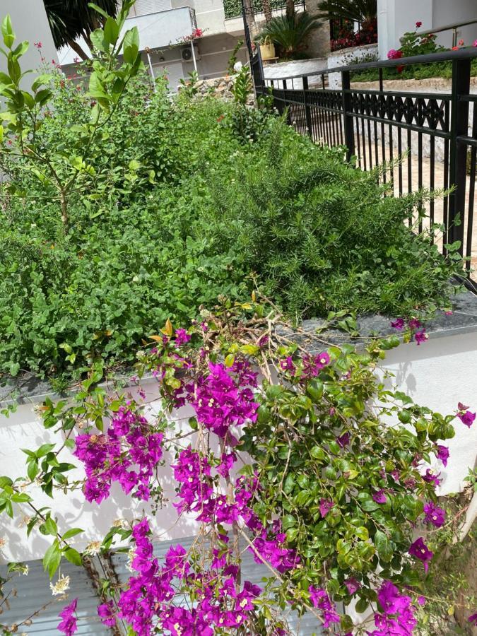 Apartamente Berti'S Garden Sarande Luaran gambar